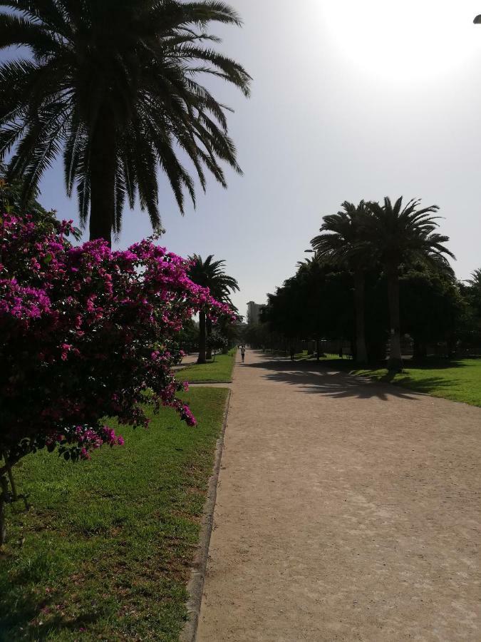 Apartamento La Marina-Ciudad Jardin Las Palmas de Gran Canaria Eksteriør billede
